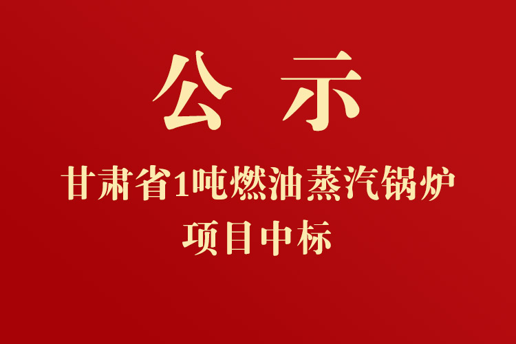 甘肅省人民政府外事辦公室采暖鍋爐項(xiàng)目中